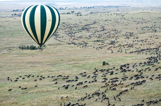 Can I Take a Hot Air Balloon Over the Serengeti During Migration?