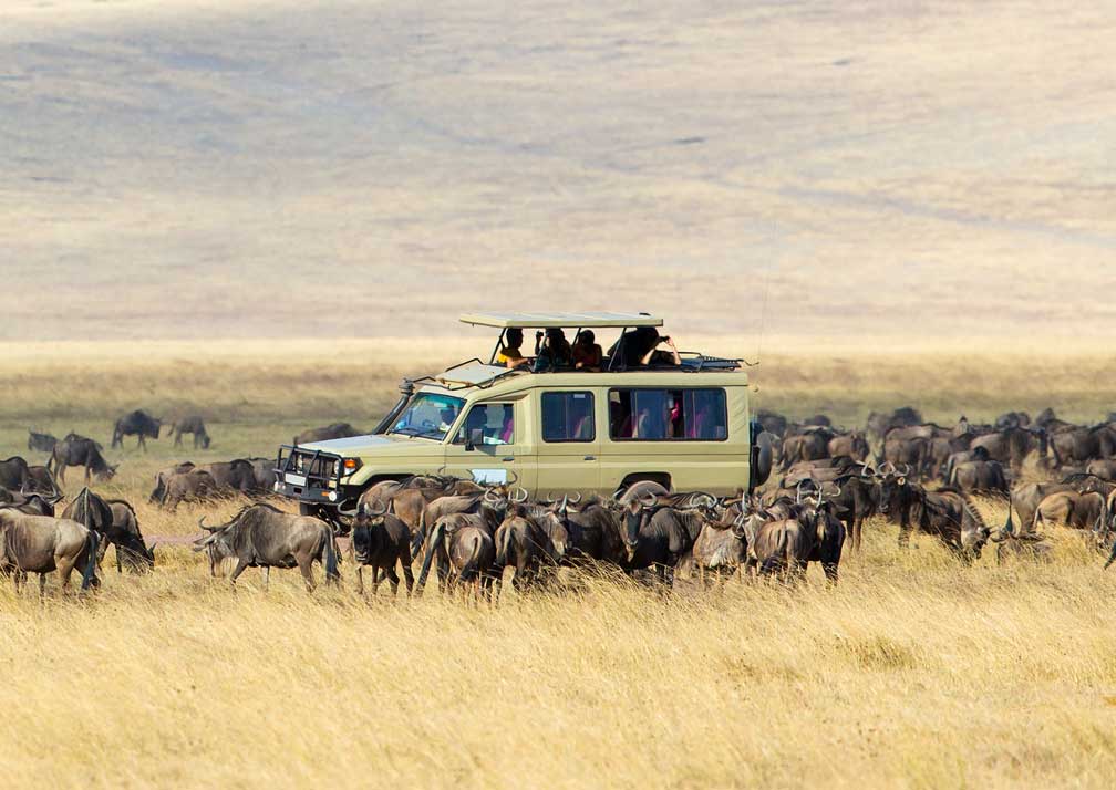 How Long Does the Great Migration Last in the Serengeti?
