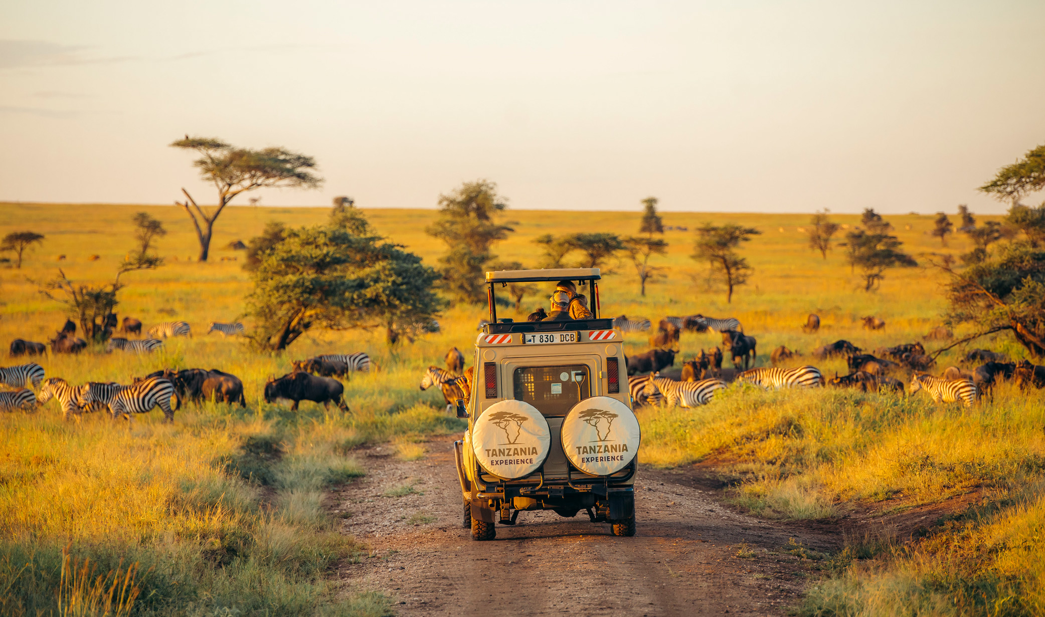 How Safe Are Tanzania’s Roads During the Rainy Season?