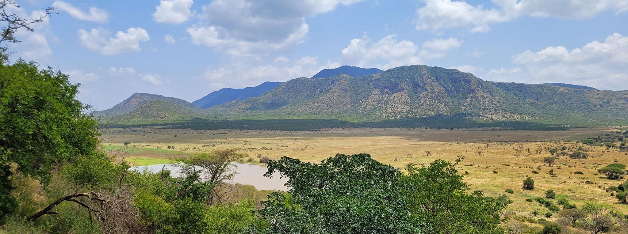 drive safari vehicle navigating wildlife-filled road through Tanzania national park.