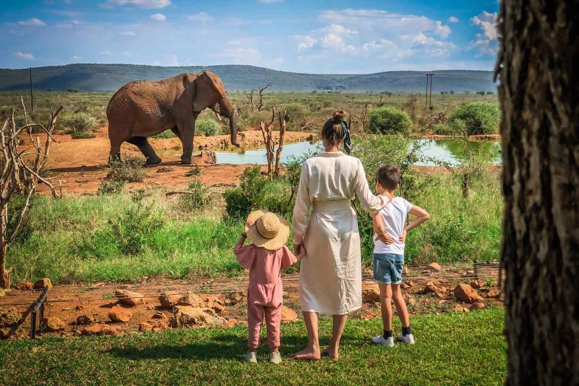 Family enjoying wildlife game drive in Tanzania safari vehicle with guide.