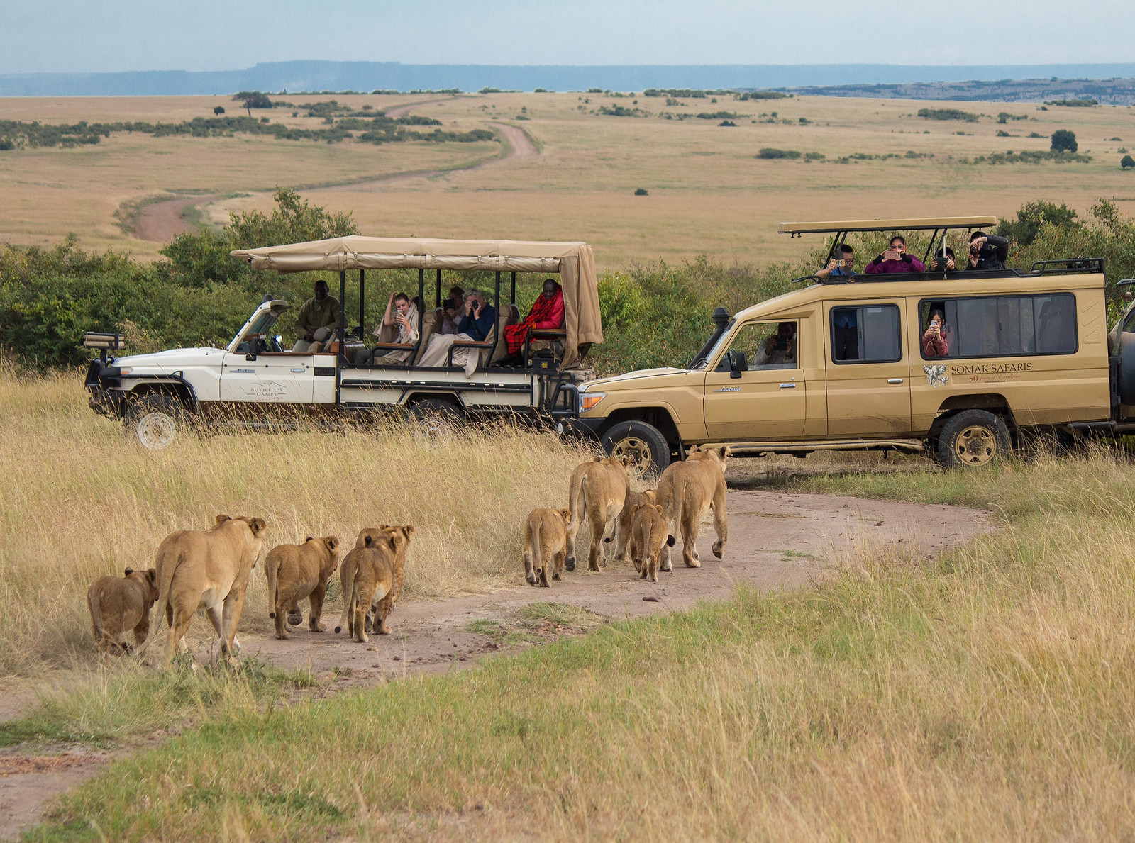  Tanzania Safari Guides
