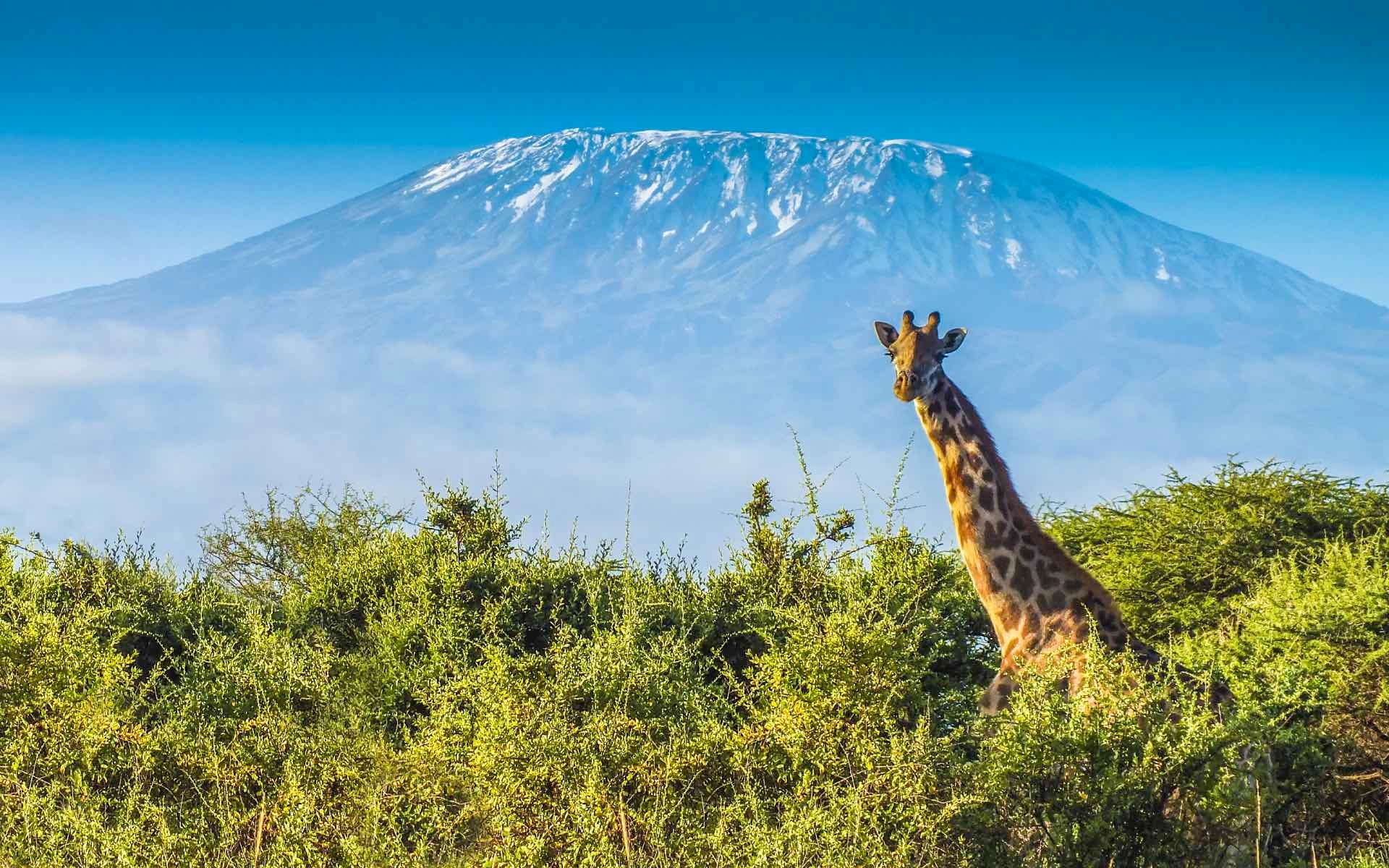 How Many National Parks Are There in Tanzania?