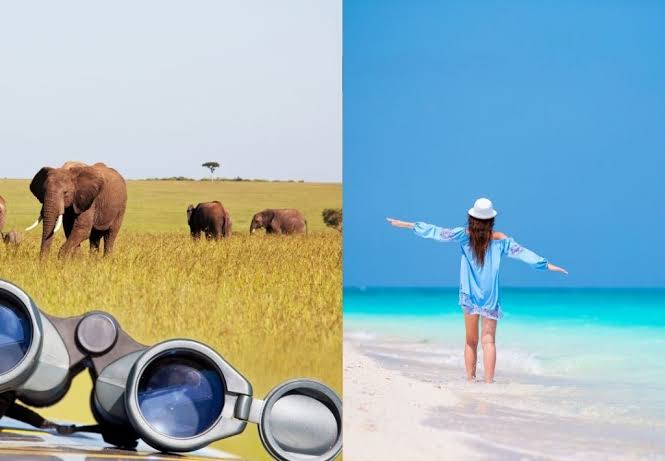Tanzania safari tourists overlooking wildlife before relaxing on Zanzibar white beaches.