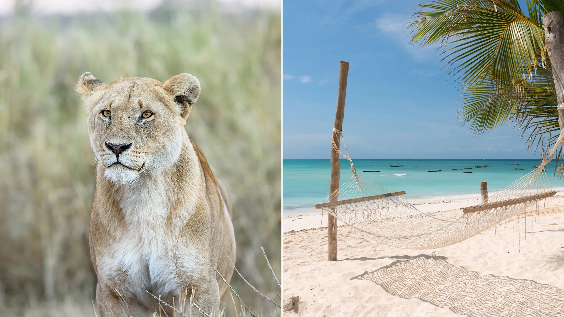 Can I Combine a Tanzania Safari with a Zanzibar Beach Holiday?