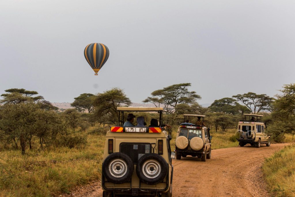 Can I Visit Tanzania Without a Tour Operator?