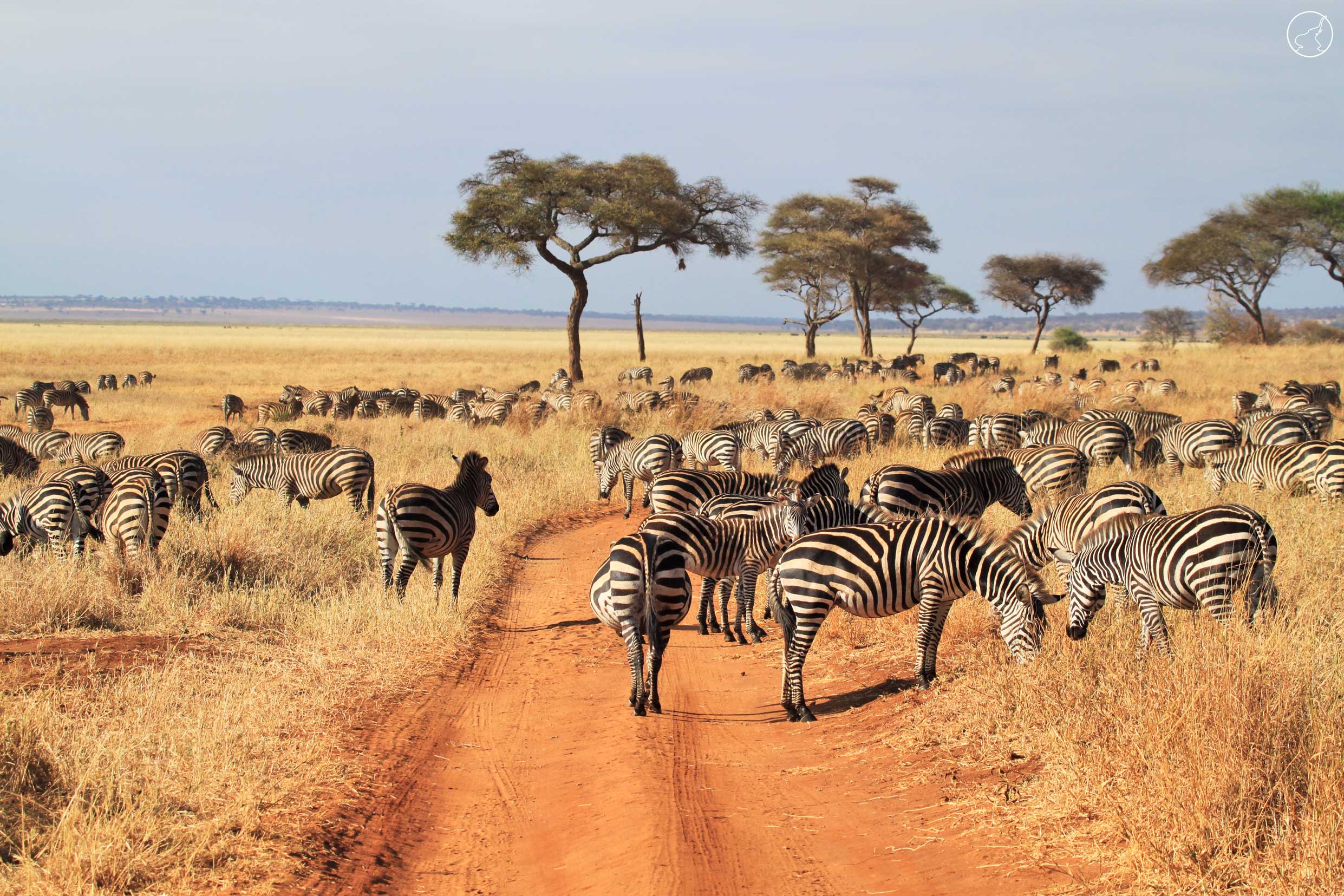 What Is Tarangire National Park Best Known For?